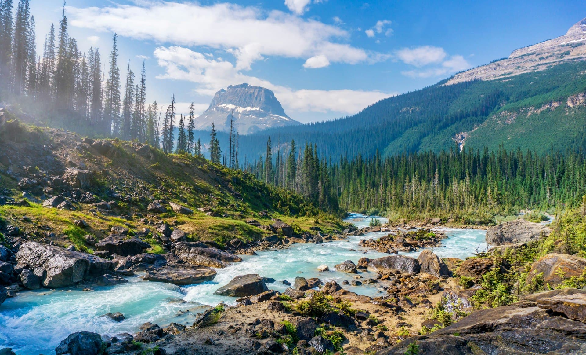 Railway curving through mountain terrain, framed by peaks and evergreen forest