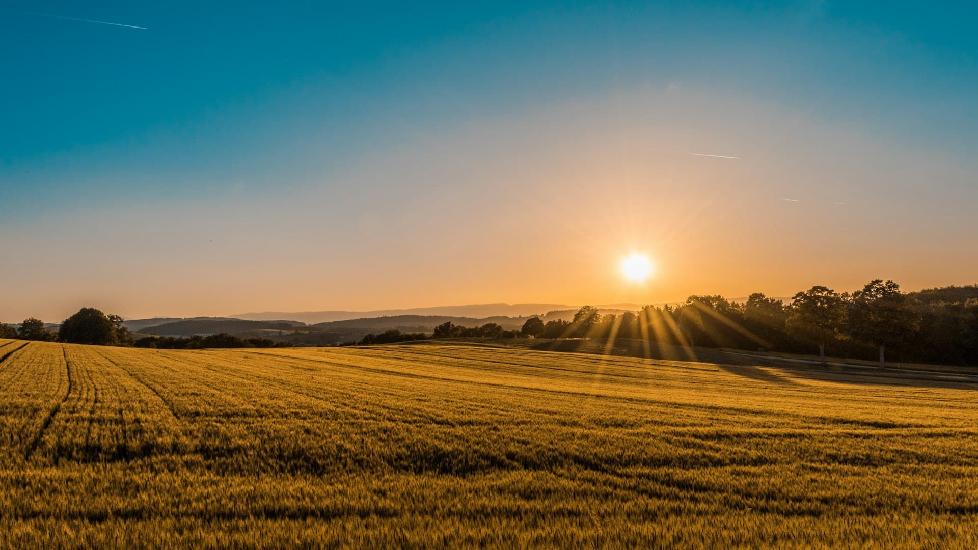 Endless golden prairie stretching to the horizon under a vast sky